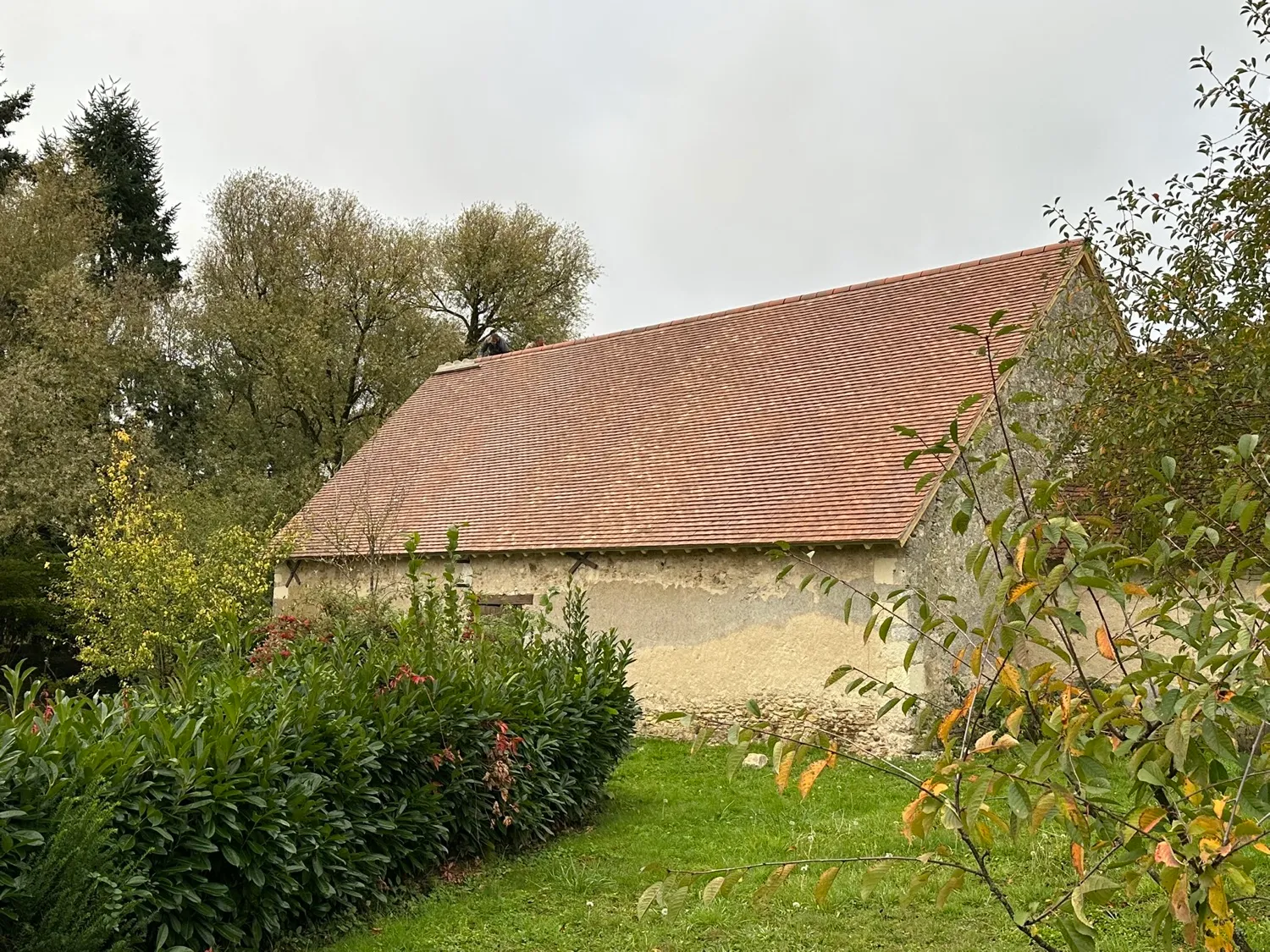 Grange ancienne au toit de tuiles entourée de verdure